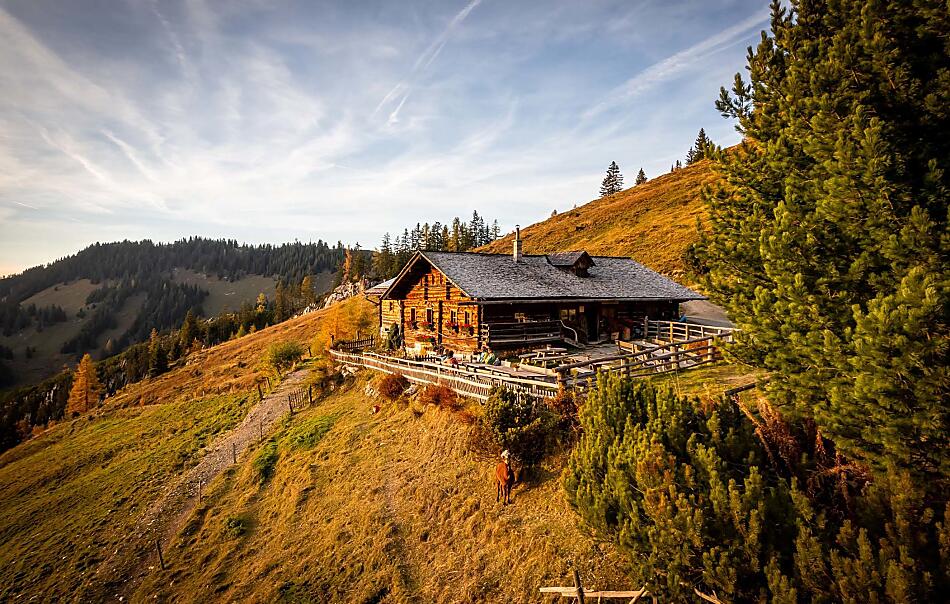 Almsommer im Tal der Almen