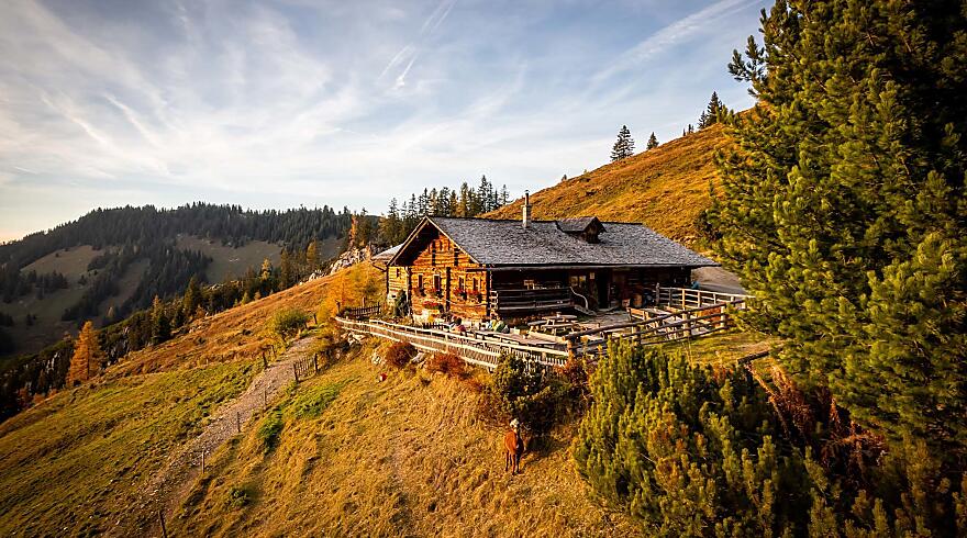 Summer time in the valley of alpine pastures