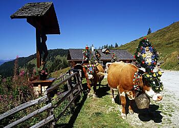 Autumn "Bauernherbst"